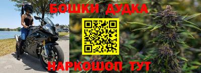 стафф Лесосибирск