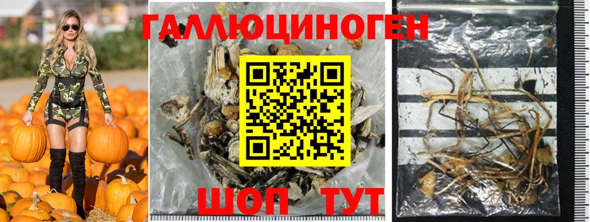 Гуково  Галлюциногенные грибы Psilocybe  Вход с VPN 