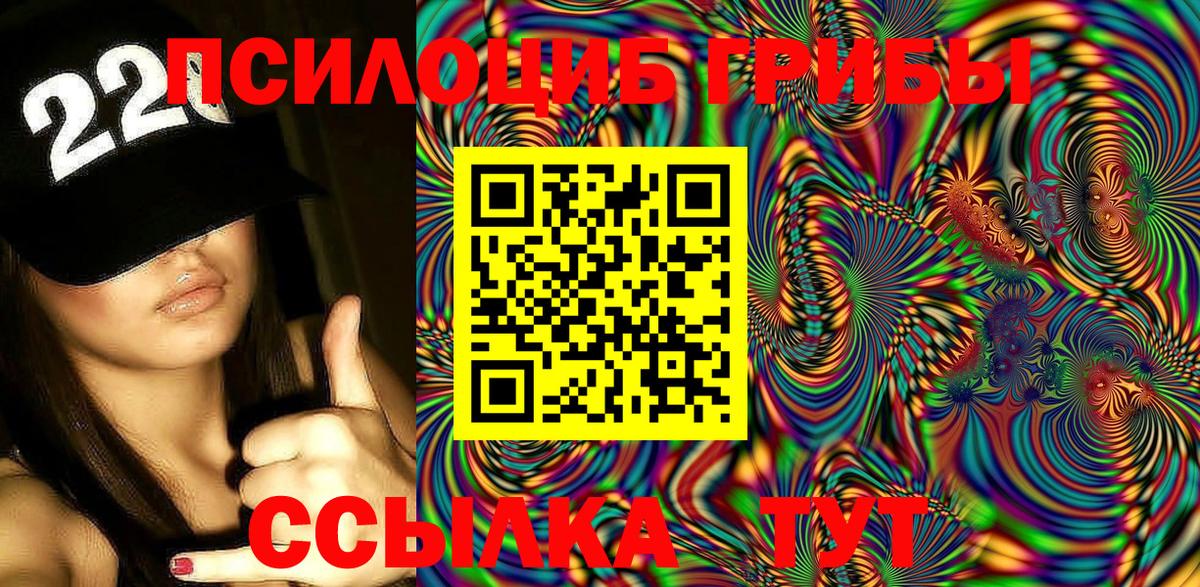 Галлюциногенные грибы Cubensis Гуково